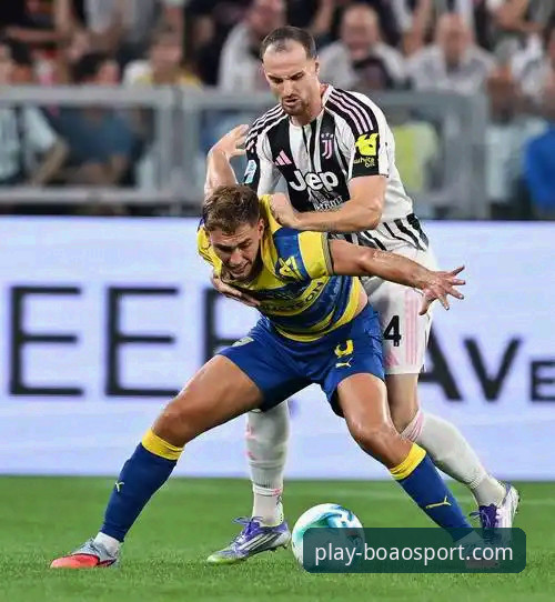 深度解析意大利连续三届世界杯出局：数据、战术与未来展望完整指南